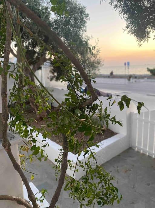 31 Seafront Apartment Parikia (Paros)