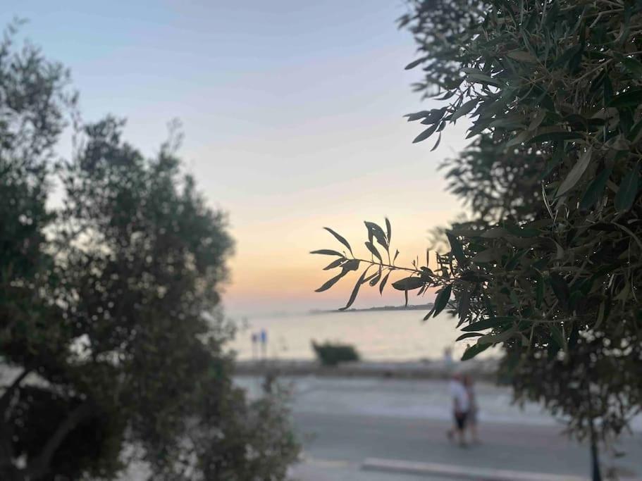 31 Seafront *
